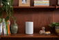 Preview: Sonos ERA 100