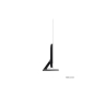 Preview: Samsung OLED - QE55S95BATXXN