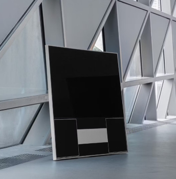 Canvas Soundsystem 55 inkl. Eichenabdeckung