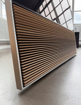Canvas Soundsystem 55 inkl. Eichenabdeckung