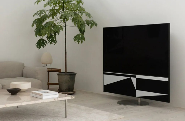 Canvas Soundsystem 55 inkl. Eichenabdeckung